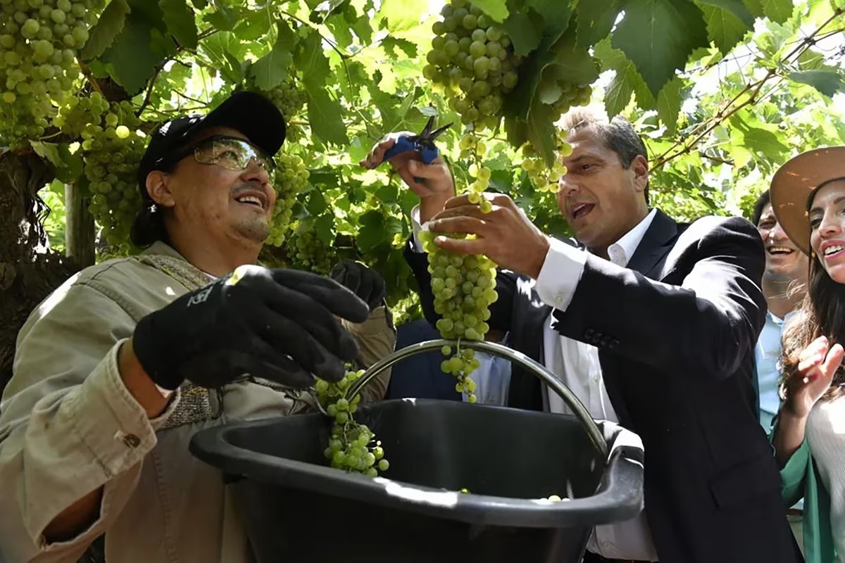 Sergio Massa viajará a Mendoza y se reunirá con la industria del vino: desde septiembre no habrá más retenciones para el sector