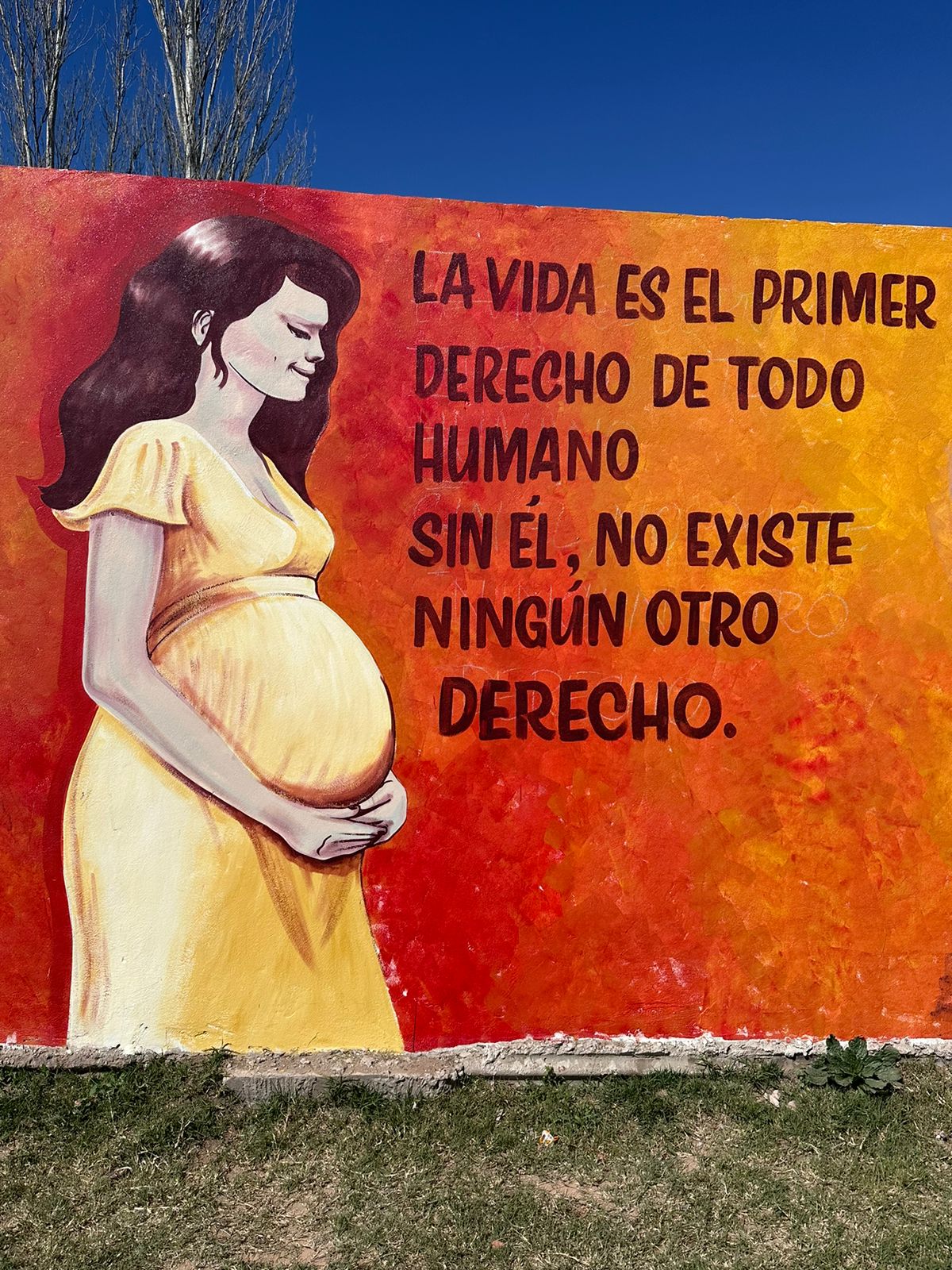 Importante acompañamiento y adhesión en Junín a una caravana y mural en defensa de las dos vidas