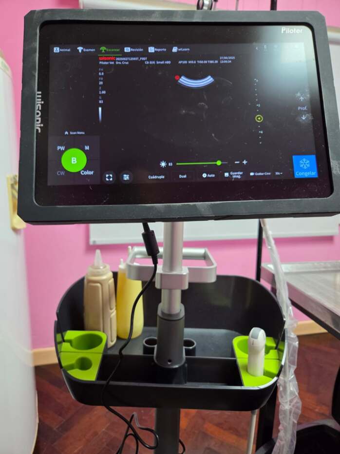 El nuevo tomógrafo que incorporó la Doctora Cruz de Miguel en su Clínica Veterinaria